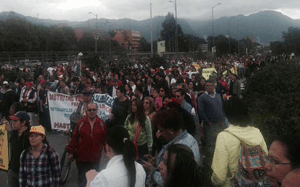 mani bogota