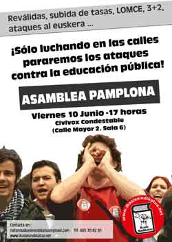 asambleaPamplonacastellano copiawebbien